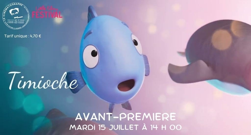 actualité timioche