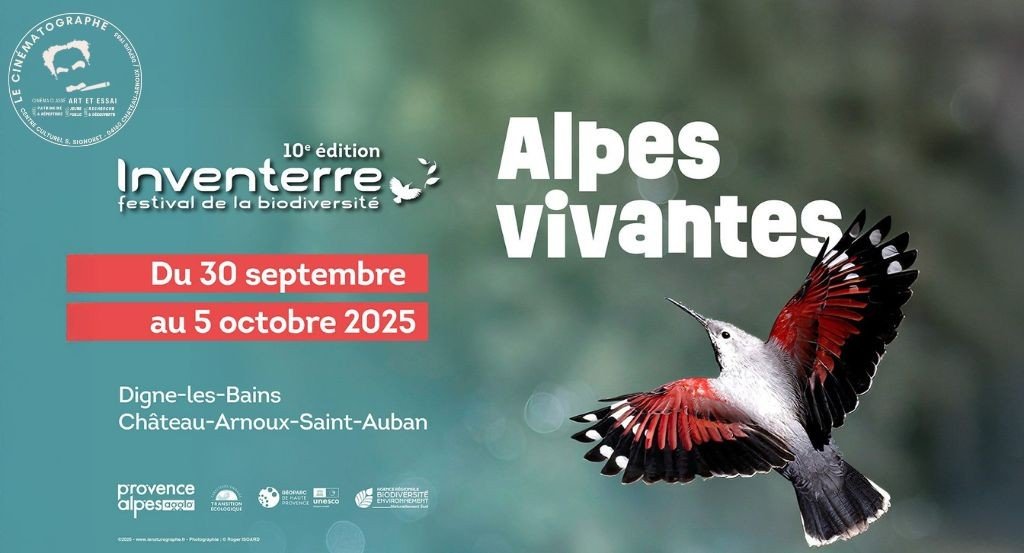 actualité inventerre