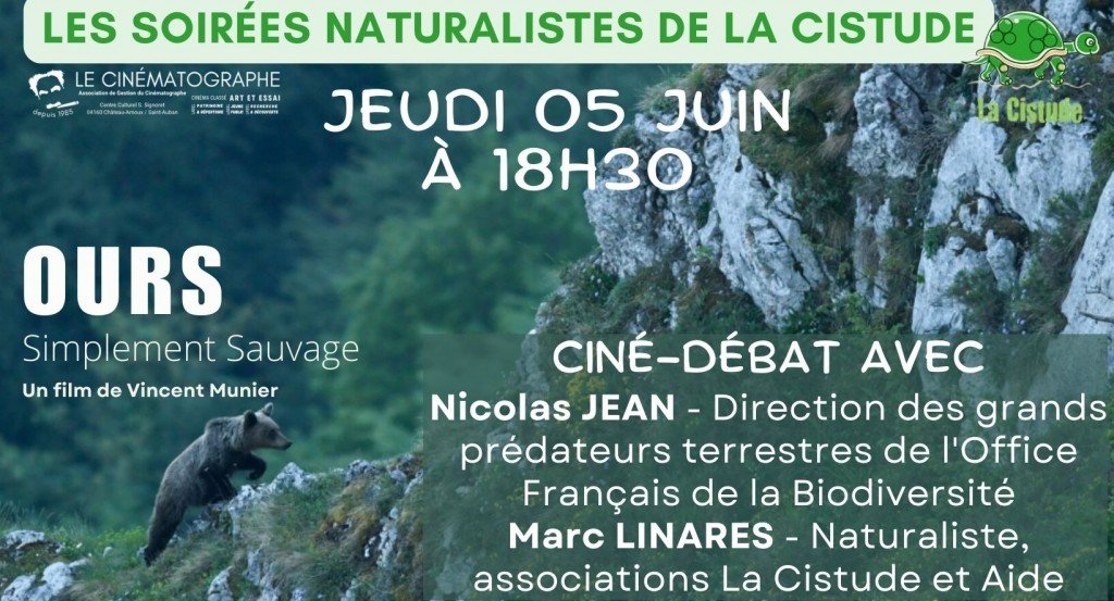 actualité cistude