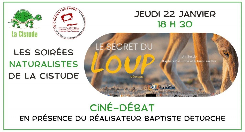 actualité cistude janvier